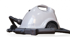 STEAM CLEANER
