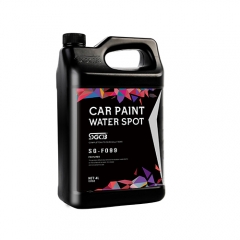 Car paint Water Spot